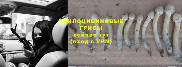 дурь Абинск