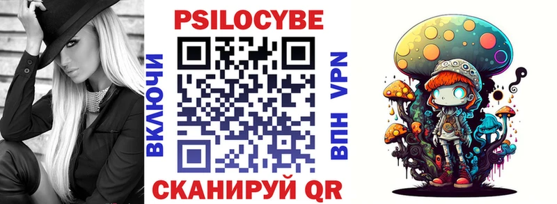 мега как зайти  закладка  Энем  Псилоцибиновые грибы мицелий 